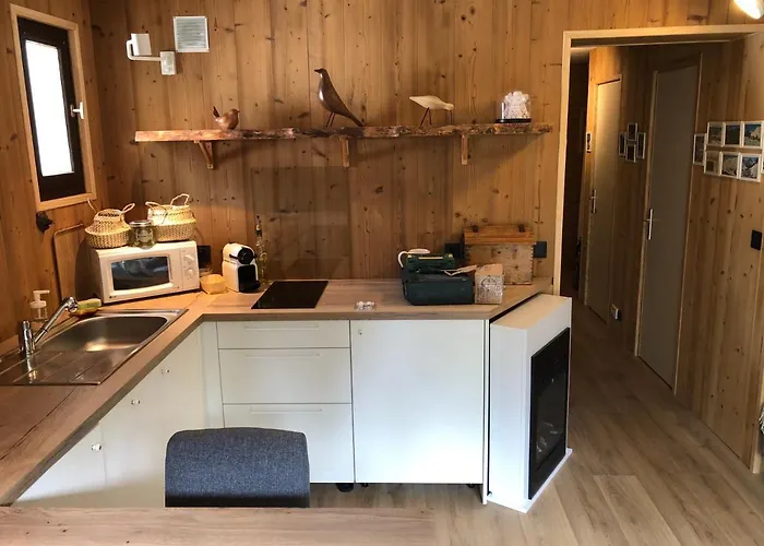 6 Personnes Aux 2 Alpes, Au Pied Des Pistes - Wi-fi, Parking Gratuit, Terrasse Vue Sur Jardin Апартаменты Ле дез Альп