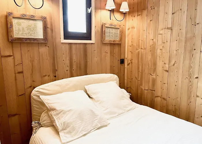 Апартаменты 6 Personnes Aux 2 Alpes, Au Pied Des Pistes - Wi-fi, Parking Gratuit, Terrasse Vue Sur Jardin